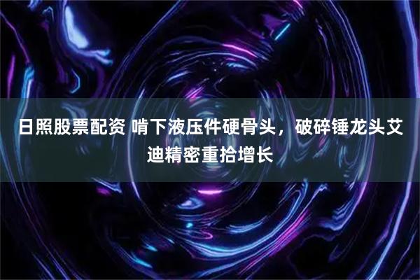 日照股票配资 啃下液压件硬骨头,破碎锤龙头艾迪精密重拾增长