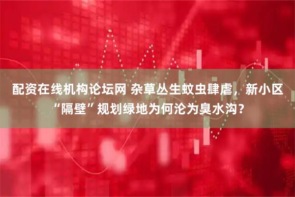 配资在线机构论坛网 杂草丛生蚊虫肆虐，新小区“隔壁”规划绿地为何沦为臭水沟？